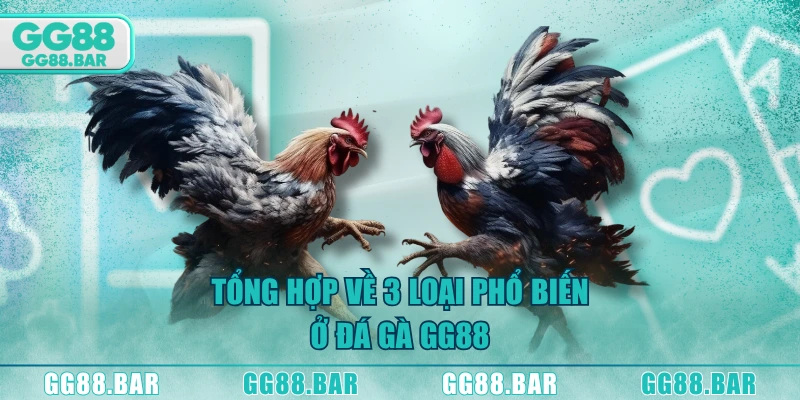 Tổng hợp về 3 loại phổ biến ở đá gà GG88